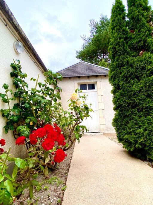 Demeure St Martin Villa Vierzon Eksteriør bilde